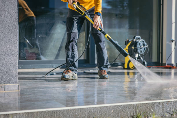 Animal Enclosure Cleaning in Belton, TX